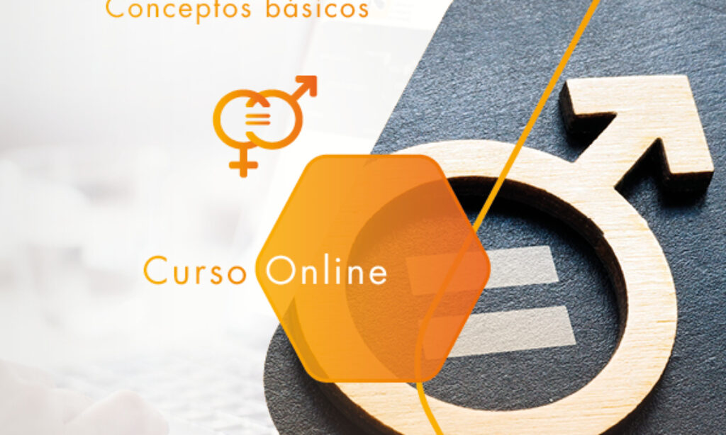 Taller Online “Igualdad de Género: Conceptos Básicos” de la Fundación iS+D, con descuento para las/os colegiadas/os de Copyscyl (Fecha: acceso inmediato una vez realizada la matrícula)