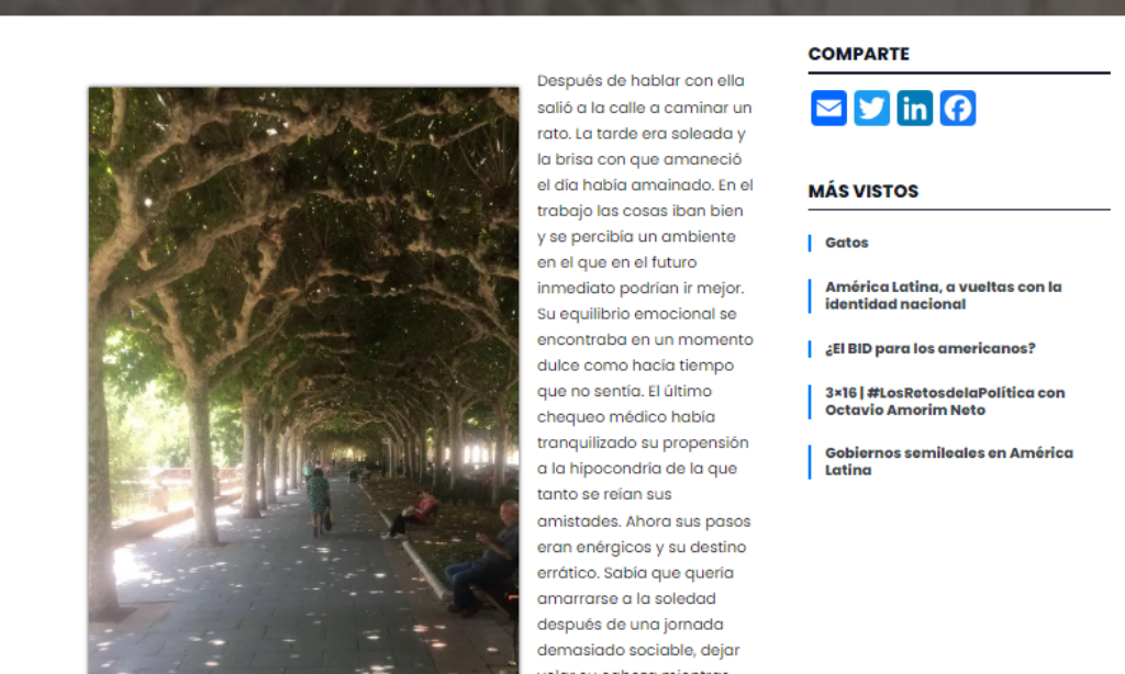 Artículo: “Decepción”, por nuestro colegiado Manuel Alcántara, publicado en la Esquina Revestida el día 26 de julio de 2024