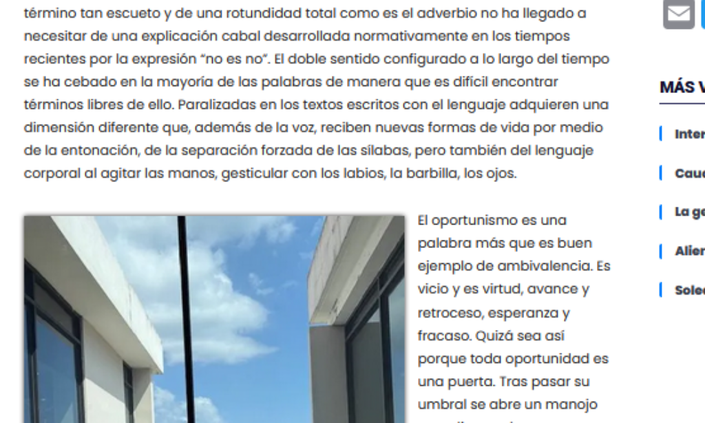 Artículo: «Oportunidad» de Manuel Alcántara, publicado en La Esquina Revestida el 31 de enero de 2025