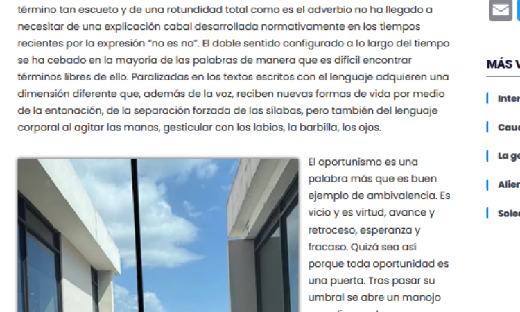 Artículo: «Oportunidad» de Manuel Alcántara, publicado en La Esquina Revestida el 31 de enero de 2025