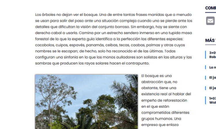 Artículo: «El árbol caído» de Manuel Alcántara, publicado en La Esquina Revestida el 7 de febrero de 2025