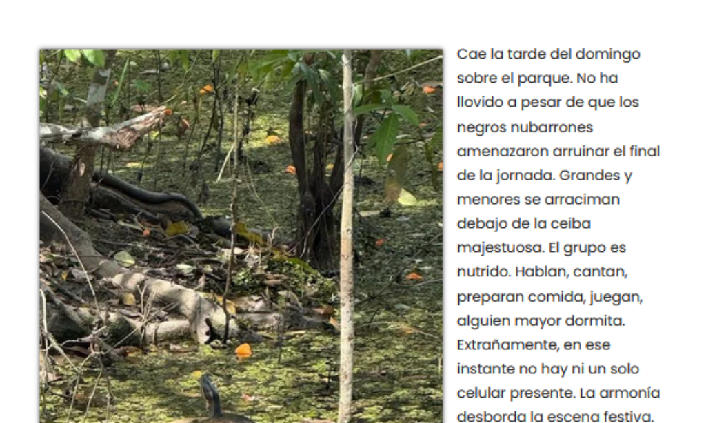 Artículo: «Luciérnagas » de Manuel Alcántara, publicado en La Esquina Revestida el 21 de febrero de 2025