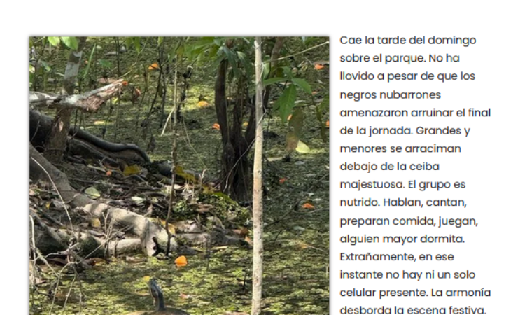 Artículo: «Luciérnagas » de Manuel Alcántara, publicado en La Esquina Revestida el 21 de febrero de 2025