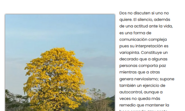 Artículo: «El silencio» de Manuel Alcántara, publicado en La Esquina Revestida el 11 de abril de 2025